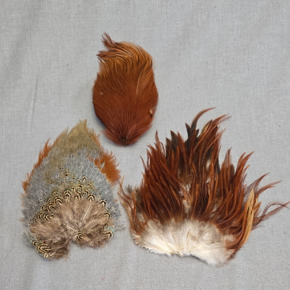 Assorted Feather Craft Set - Picture 2 of 5
